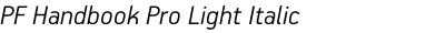 PF Handbook Pro Light Italic